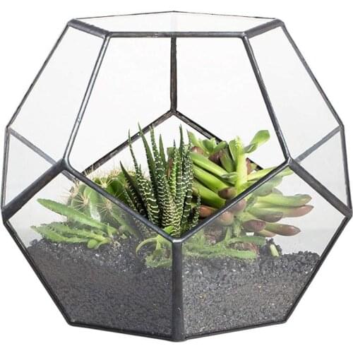 Large Tabletop Glass Geometric Terrarium DIY Plant Pot Glass Terrariums