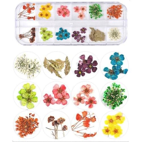 20styles 1 Box Real Pressed Flower Leaves Crystal Epoxy Filler Dried Daisy Flower Resin Art DIY Jewelry Making Nail Stickers Dec