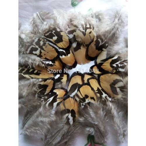 Wholesale beatiful 20pcs high quality natural pheasant feathers 4-8cm / 2-3inch decorative diy Sequins