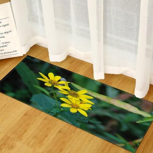 Printed Entrance Mats Kitchen Rugs Pastoral Scenic Carpet for Living Room Bedroom Bathroom Rug Home Decor Floor Mat Welcome Rug