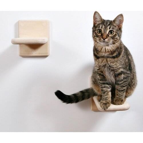 Solid Wood Cat Wall Frame Cat Climbing Ladder Cat Jumping Platform Wall-mounted Stable And Customizable Combination