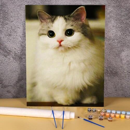 Animal Cat Coloring By Numbers Painting Package Acrylic Paints 50*70 Picture By Numbers Photo New Design For Adults Art