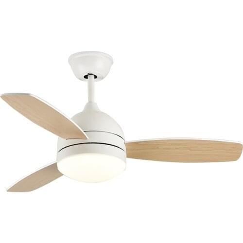 Fan Light Bedroom Living Room Dining Room Fan Lamp
