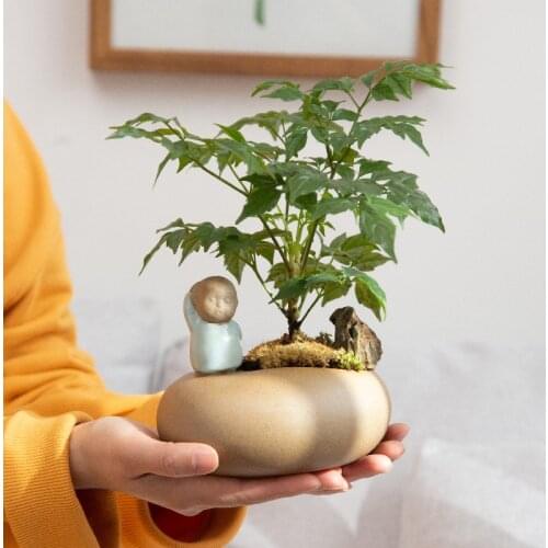 Creative Little Monk Zen Ceramic Hydroponic Succulents Flower Pot Purple Clay Flower Vase Small Ornaments Home Living Room Decor