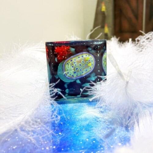 Handmade Marine Ocean Hare Sea Slug Crystal Peripheral Qi Tan Resin Decoration Car Creative Gifts