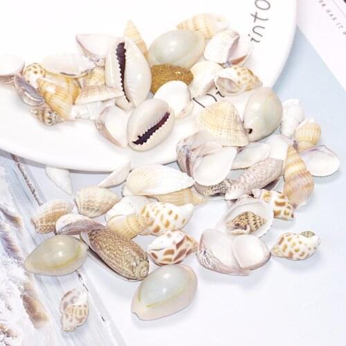 DoreenBeads Shell Resin Jewelry Craft Filling Material At Random Conch/Sea Snail Mold Making Accessories Filler 2 Packets