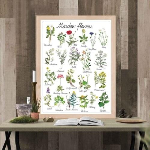 Plant Flowers Natural Educational Poster Botanical Kindergarten Wall Art Picture Prints Wall Decor Retro poster kraft paper
