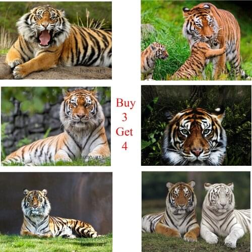 King of the Beast Tiger Poster Clear Image Wall Stickers Home Decoration Good Quality Prints White Coated Paper