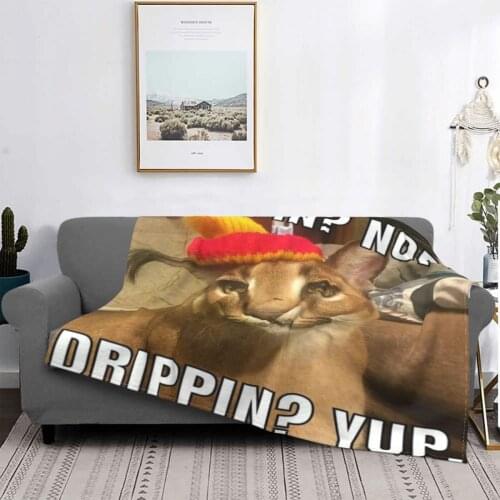 Floppa Cute 545 Blanket Bedspread Bed Plaid Big Sofas Throws Duvet