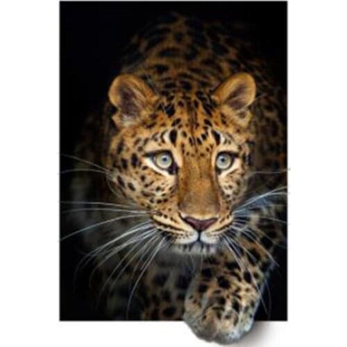5D DIY Diamond Painting Kit Animal Full Square Drill Diamond Embroidery Cross Stitch Leopard Mosaic Tiger Handmade Gift GJ360
