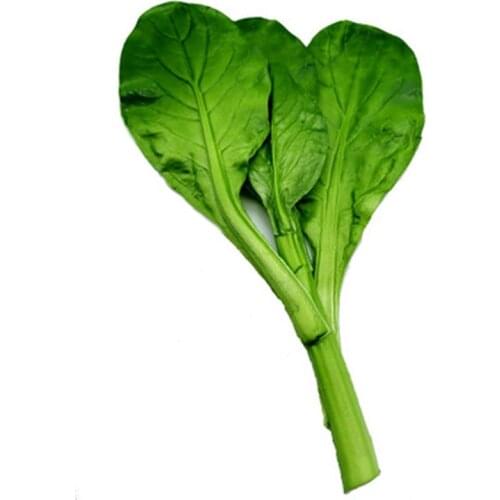 Artificial Vegetable Realistic Simulated Creative Fake Vegetable Display Prop