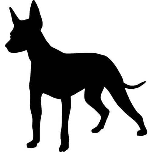 Personality Xolo Dog Creative Cartoon Body Decoration Decal Cute Animal Car Cover Scratch Stickers Apply To Car Window Laptop