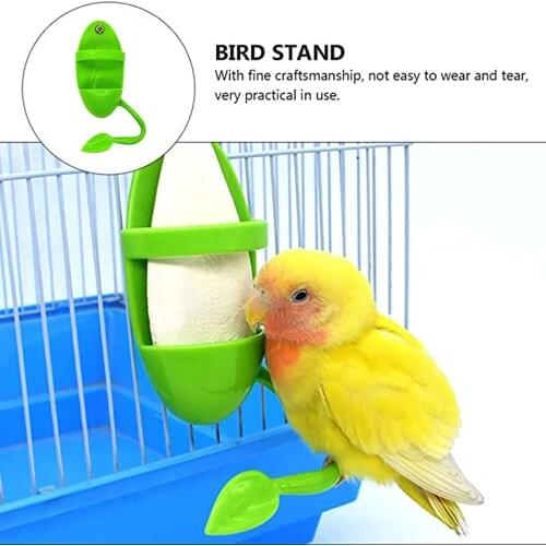 2pc Bird Supplies New Bird Feeder Feeding Supplies Utensils Bird Cage Food Rack Parrot Bird Cuttlefish Bone Food Rack Hot Sale