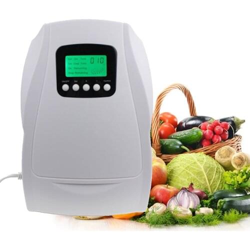 100-140V Intelligent Water Air Ozone Disinfector 500mg/hr Ozone Output With Circled Timer