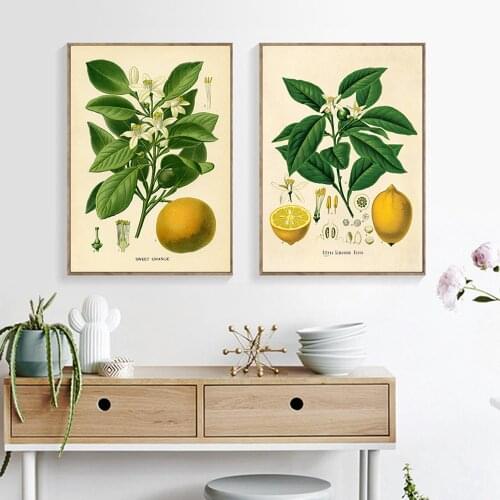 Lemon Print Vintage Botanical Fruit Art Apple and Pear Posters Orange Fruit Wall Art Canvas Painting Wall Pictures Kitchen Decor