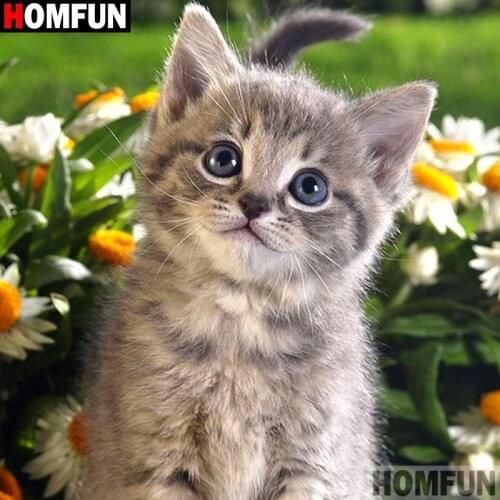 HOMFUN Full Square/Round Drill 5D DIY Diamond Painting "Animal cat" 3D Diamond Embroidery Cross Stitch Home Decor A19903