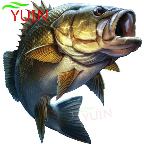 Classic Fishing Cartoon Cars Styling Large Mouth Bass Fish Car Sticker Boat Kayak Decals Truck Laptop Window Stickers ,20cm*20cm