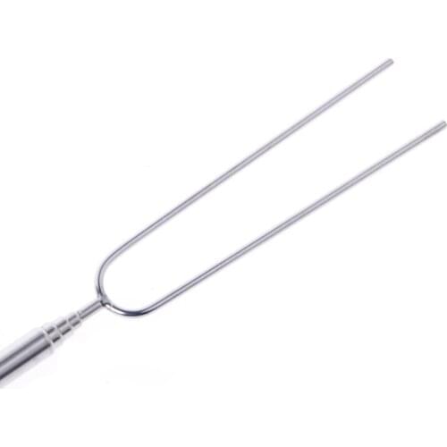 Stainless Steel BBQ Marshmallow Roasting Sticks Extending Roaster Telescoping