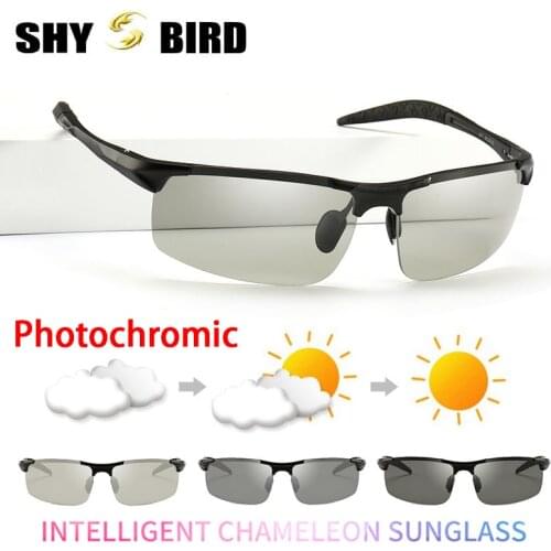 Brand Polarized Photochromic Sunglasses Aluminum Magnesium Frame HD Lens Men Classic Anti Glare Sports Polarized Sunglasses