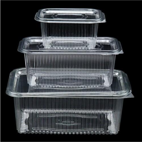 Haura Disposable Food Containers