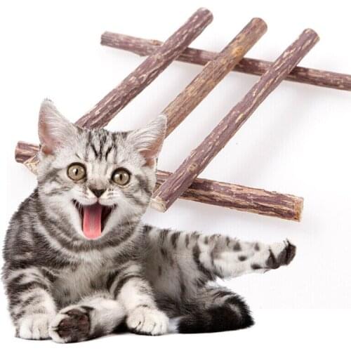 5/10/15/20pcs Pure Natural Catnip Pet Cat Toy Molar Toothpaste Branch Cleaning Teeth Silvervine Cat Snacks Sticks Pet Supplies