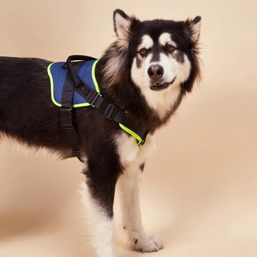 No Pull Dog Vest Harness for Large Medium Small Puppy Dogs, Adjustable Comfort Fit Easy Control Walking Pet Harness with Handle