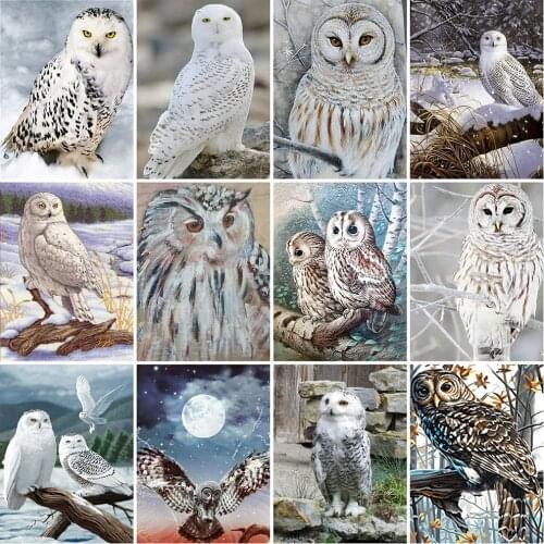 MomoArt 5D DIY Diamond Painting Owl Rhinestone Picture Diamond Embroidery Animal Handmade Gift Home Decor