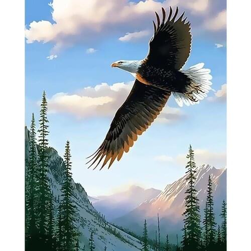 Oil Painting Peony Painting By Numbers Soaring Eagle Paint Romantic Flower DIY Canvas Picture Hand Painted Home Decor Diy Frame