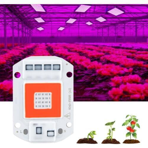 Aamasun LED Plant Lamps