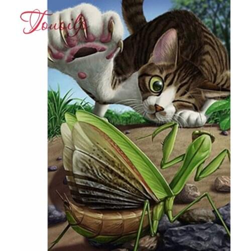 Full round Square Painting Diamond Painting Cat Mantis Insect Cross Stitch Crafts Diamond Embroidery Home Decor Diamond Mosaic