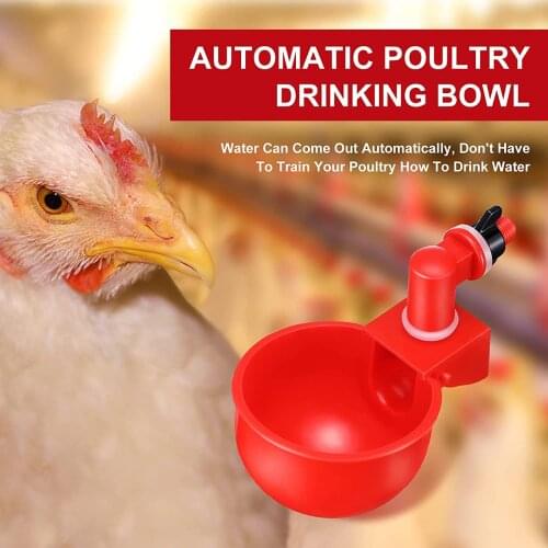 Poultry Water Drinking Cups Hen Plastic Automatic Drinker 6/12pcs Chicken Coop Chick Nipple Drinkers Poultry Farm Animal Supplie