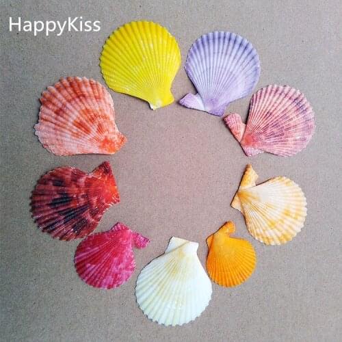 10pcs/lot 4-5cm colorful shell yangtz fish tank color good looking blended-colOR natural sea shells conch