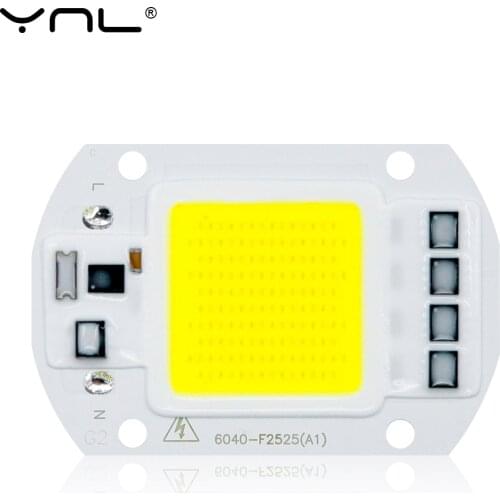 Lampada LED Lamp Bulb 50W 30W 20W 220V Input LED Chip COB Fit Not need Driver High Lumens For DIY LED Flood Light Spotlight