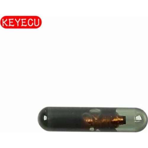 Keyecu Car Key Chips, Blank Transponder Chip ID13 Chip Glass TP03