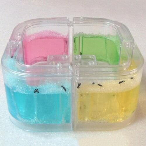 Ant Farm Gel Maze 3D Educational Nursery Live Feeding System Novelty Habitat New K43D