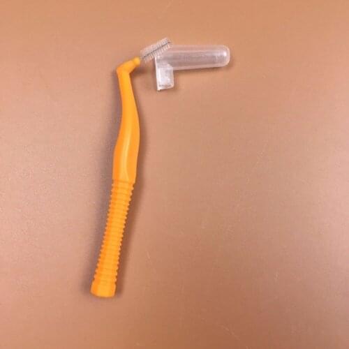 20 Box/lot Toothpick Dental Floss Interdental Brush Teeth Stick Toothpicks Thread Plastic