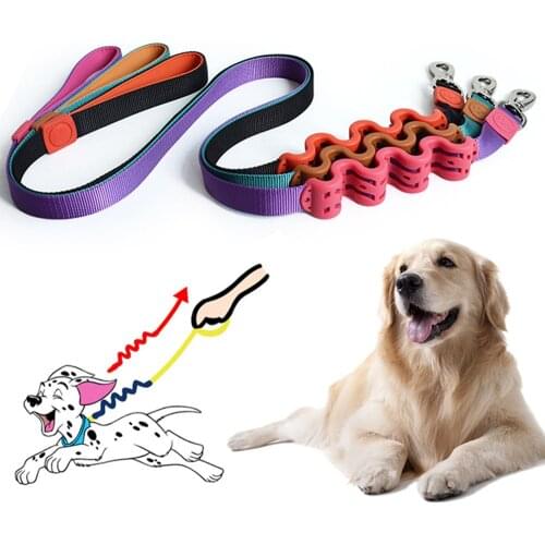 Pet Harness Leash for Dog Puppy Lead Elastic Buffer Rope To Prevent Riots for Outdoor Safe Walking Pet Supplies with Grip Handle