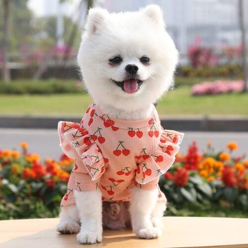 Cute Puppy Cartoon Fashion Print Coat Pet Clothes Chihuahua Poodle Sweatshirt Dog Cat Shirt Dog Pet Skirt