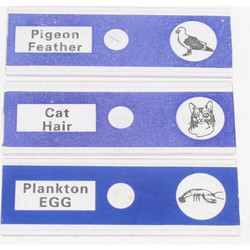 12x Plants Animals Specimen Professional Prepared Microscope Slides for Kids
