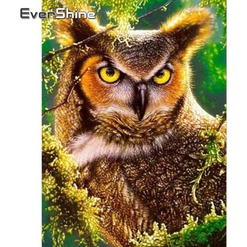 Evershine Diamond Painting Animals Owl Diamond Embroidery Sale Full Drill Square Cartoon Rhinestones Diamond Mosaic Cross Stitch