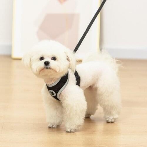 Cat Dog Harness Adjustable Breathable Pet Vest Puppy Kitten Reflective Traction Belt Walking Lead Leash Pet Training Cat Supplie