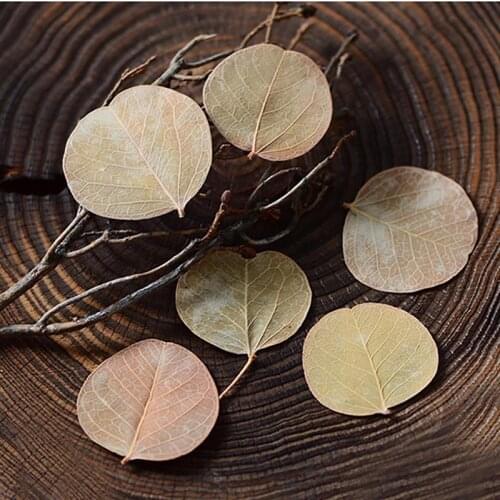 24PCS Dried Leaf Multipurpose Linden Pressed Leaf Decorative Leaf For DIY Crafts Handmade Material Accessories Home Decor