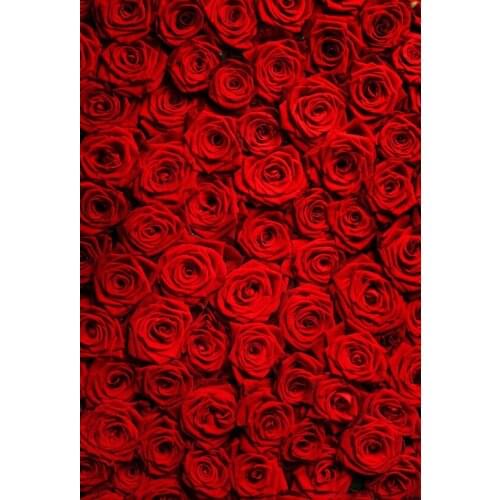 Red Rose flower Valentines Day background High quality Computer print wedding backdrops