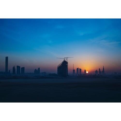 Diamond Painting Animal Rhinestones Pictures Diamond Embroidery Sunset Diamond Mosaic Christmas Decorations