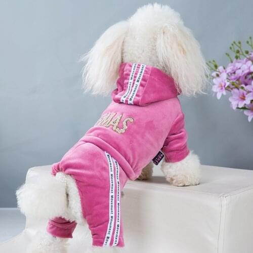 Dog Clothes Spring and Autumn New Gold Velvet Four-leg Sports and Leisure Clothing Teddy One-piece Four-legged Dog Clothes
