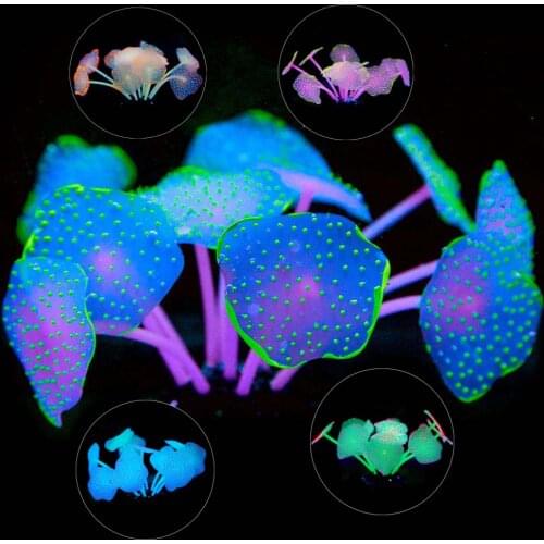 11 Leaves Silicone Artificial Fish Tank Aquarium Coral Plant Ornament Pets Underwater Decors Wholesale