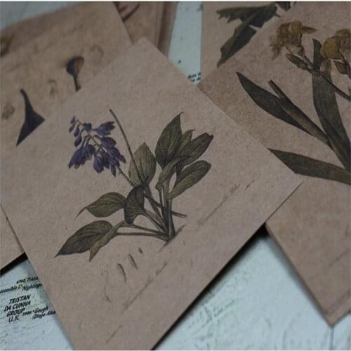 120sheets/pack Plant Series Vintage Retro Postcard Greeting Post Card Christmas card free shipping