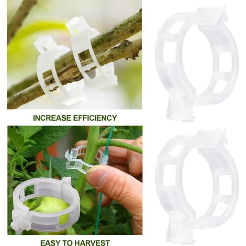 50 Pcs Plastic Plant Clips Supports Connects Reusable Protection Grafting Fixing Tool Gardening Supplies For Vegetable Tomato