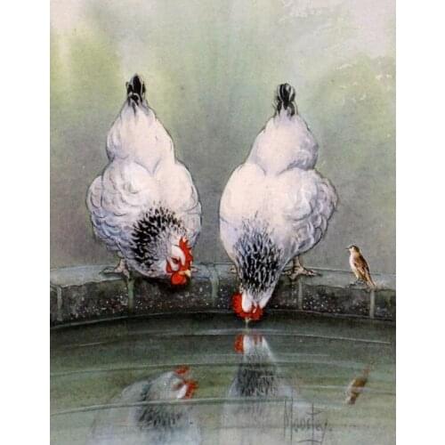 DIY White chickens and birds 5D diamond mosaic square crafts diamond painting cross stitch diamond embroidery home decor FG1193