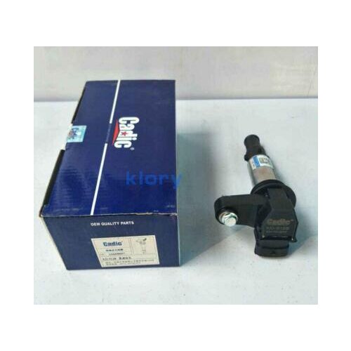 KD-9128 oem 0221604112 Ignition System for Buick